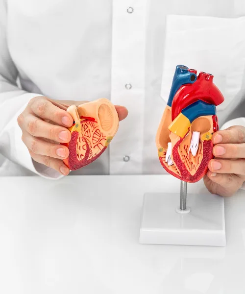 ¿Qué médico trata colesterol alto?