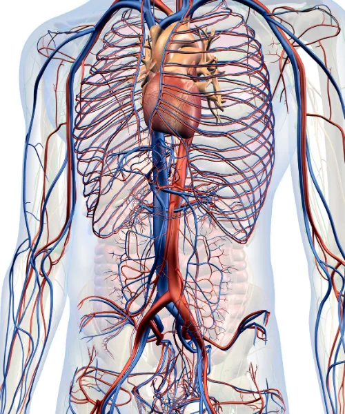 Evaluación Especializada del Dolor en el Pecho en CDMX